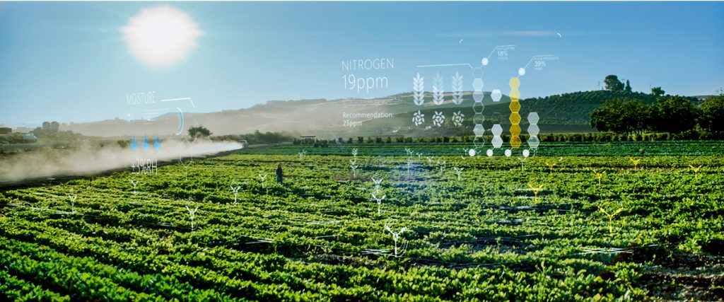 IA et IoT permettent d'augmenter les rendements agricoles