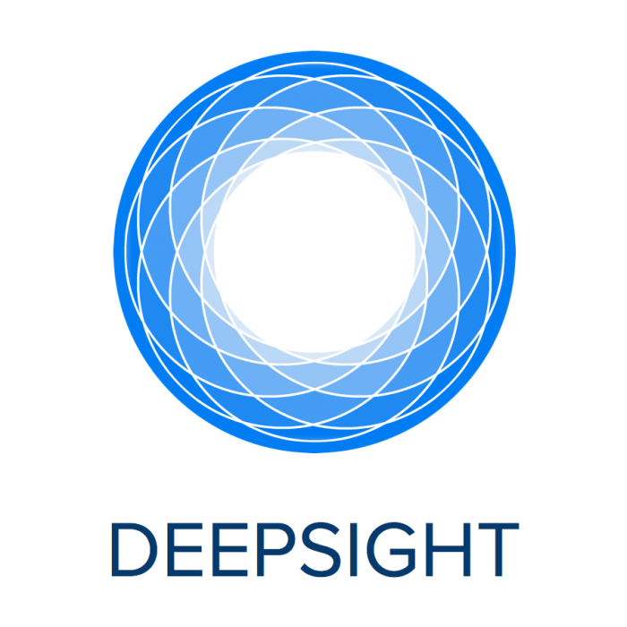 logo de deepsight