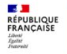 logo REPUBLIQUE FRANCAIS