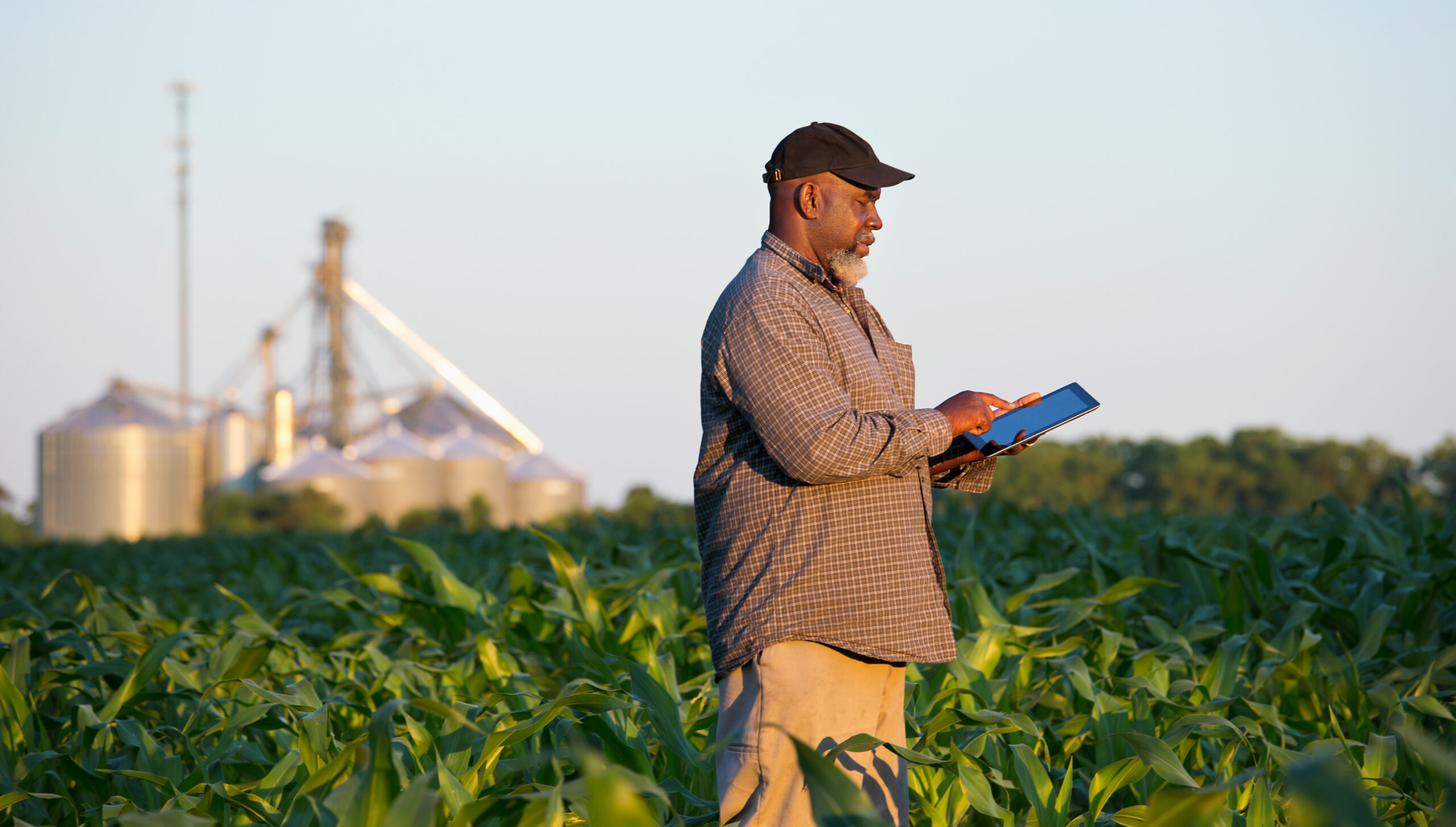 Un homme se tient debout avec une tablette dans un champs.